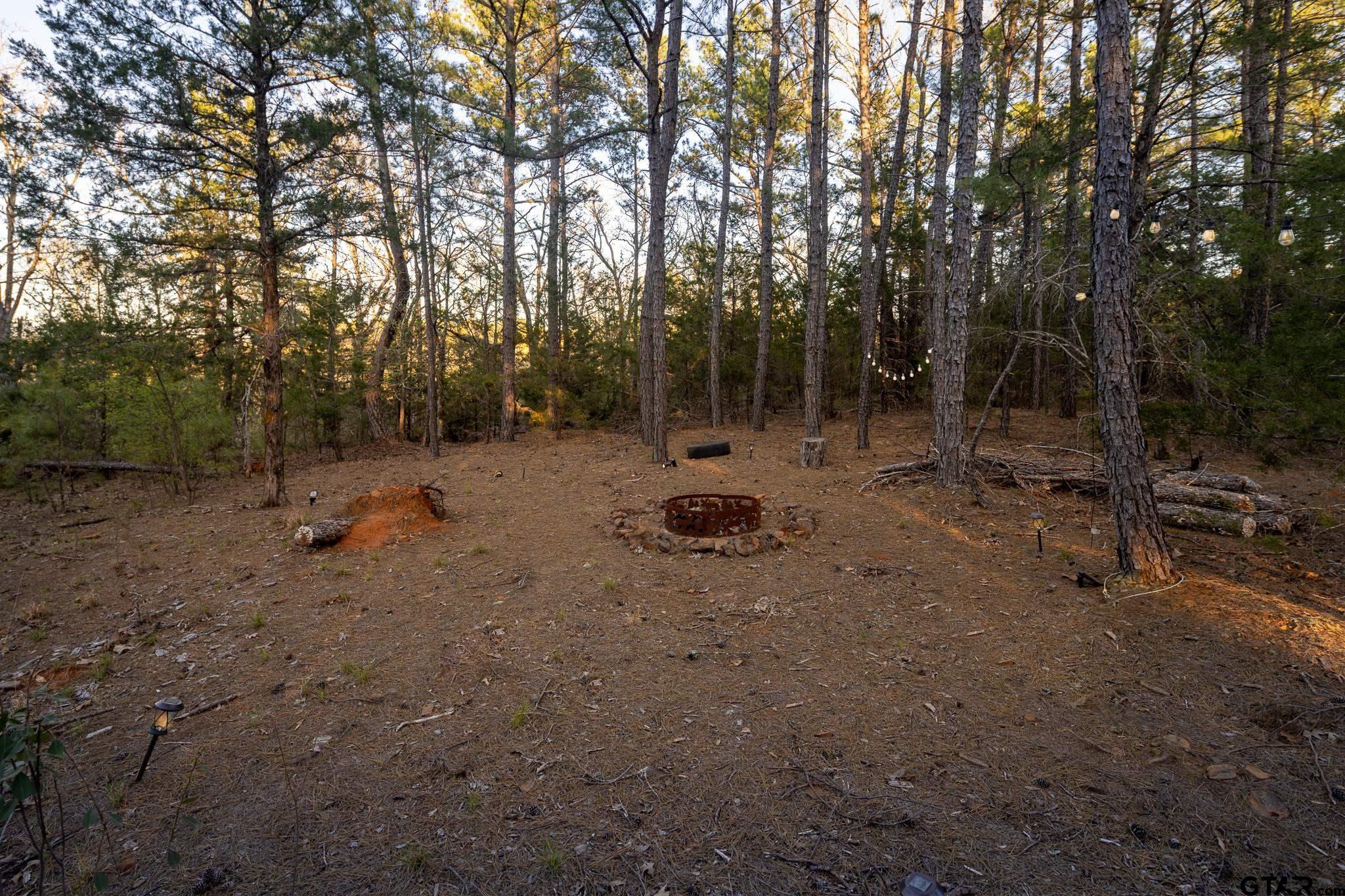 10733 County Road 4150 Tyler, TX 75704 - Photo 5 of 48 a view of a forest with trees in the background