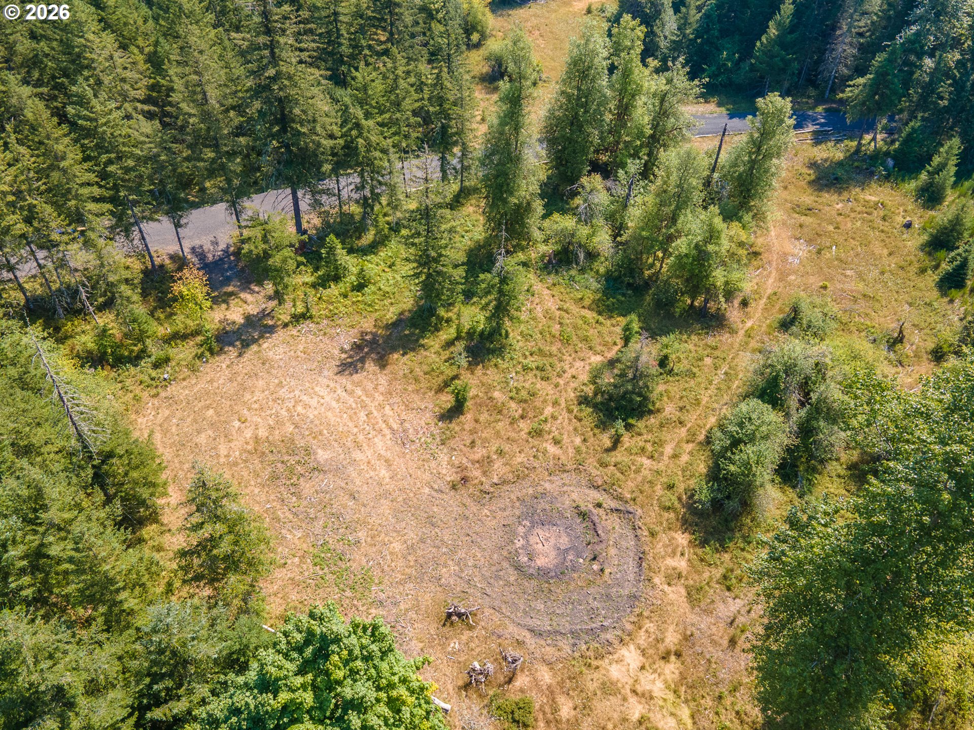 Hawk Meadows Road, Unit 5 Carson, WA 98610 - Photo 31 of 47 Gallery Image 31