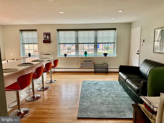 a living room with furniture rug and window