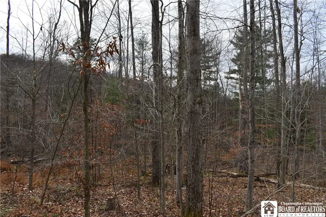 $152,500 | 0 Morgan Hollow Road, Olean, NY 14760