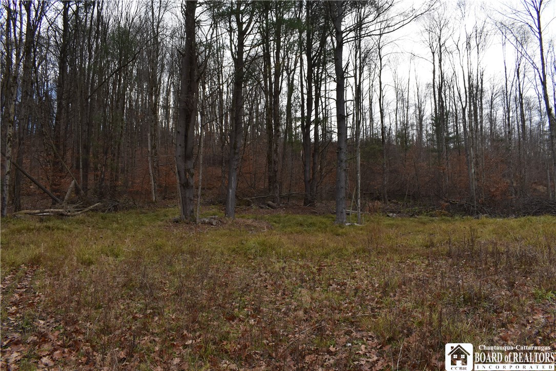 0 Morgan Hollow Road Olean, NY 14760 - Photo 11 of 43