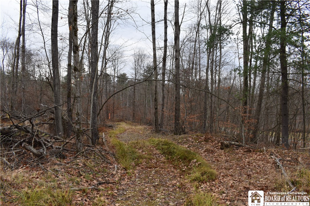 0 Morgan Hollow Road Olean, NY 14760 - Photo 12 of 43