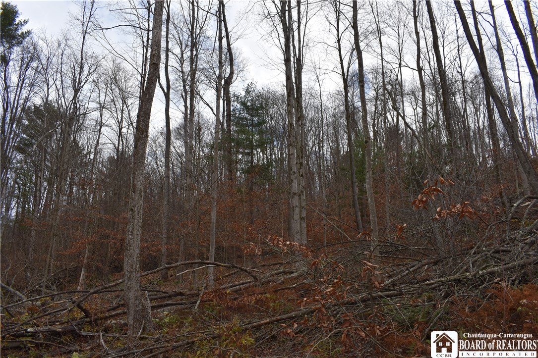 0 Morgan Hollow Road Olean, NY 14760 - Photo 13 of 43