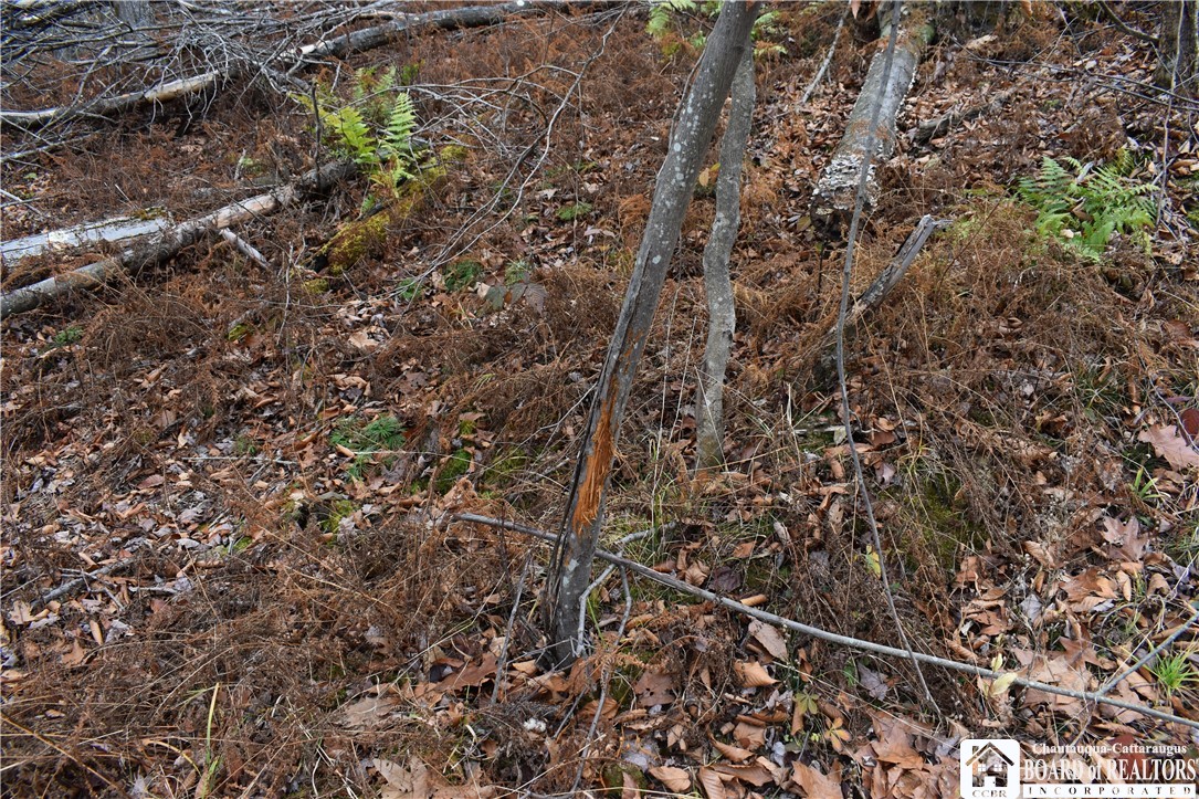 0 Morgan Hollow Road Olean, NY 14760 - Photo 14 of 43