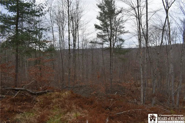 $152,500 | 0 Morgan Hollow Road, Olean, NY 14760