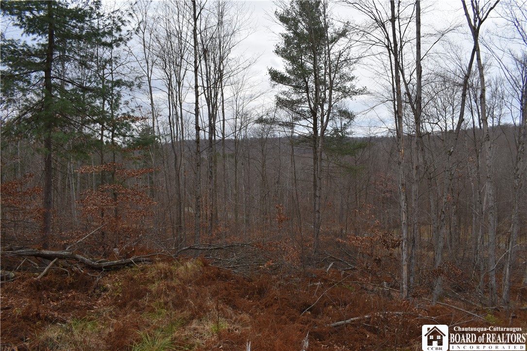 0 Morgan Hollow Road Olean, NY 14760 - Photo 15 of 43