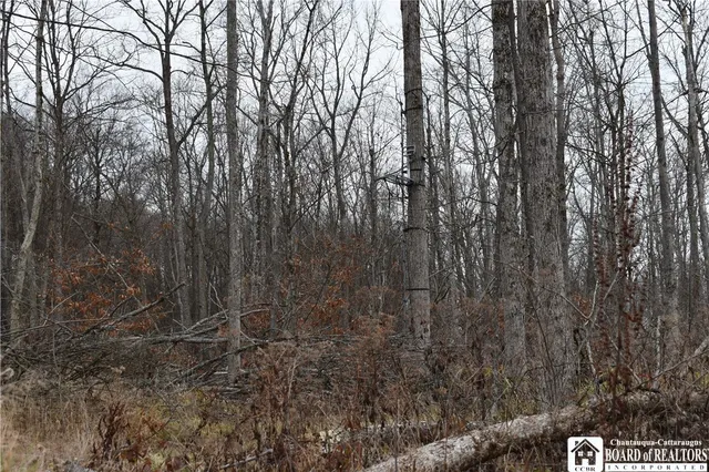 $152,500 | 0 Morgan Hollow Road, Olean, NY 14760