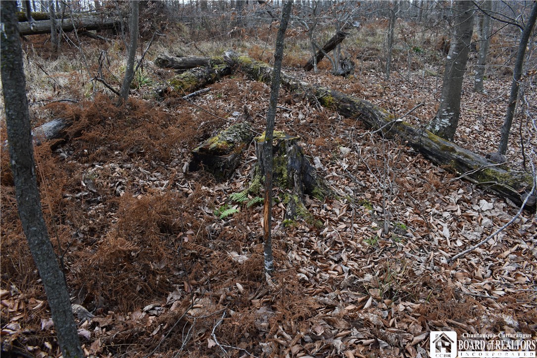 0 Morgan Hollow Road Olean, NY 14760 - Photo 18 of 43