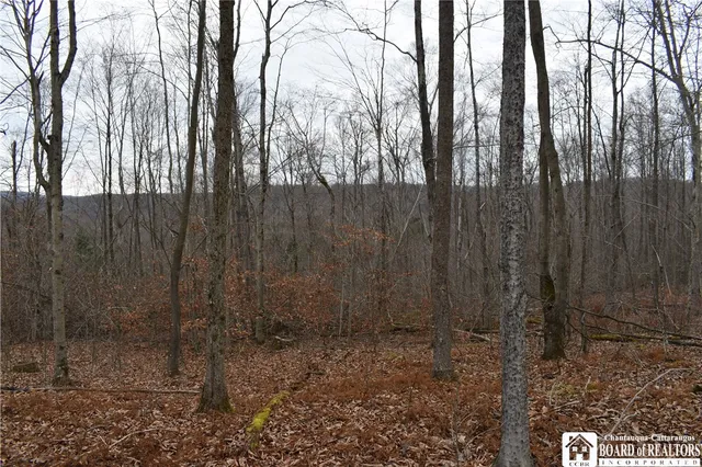 $152,500 | 0 Morgan Hollow Road, Olean, NY 14760