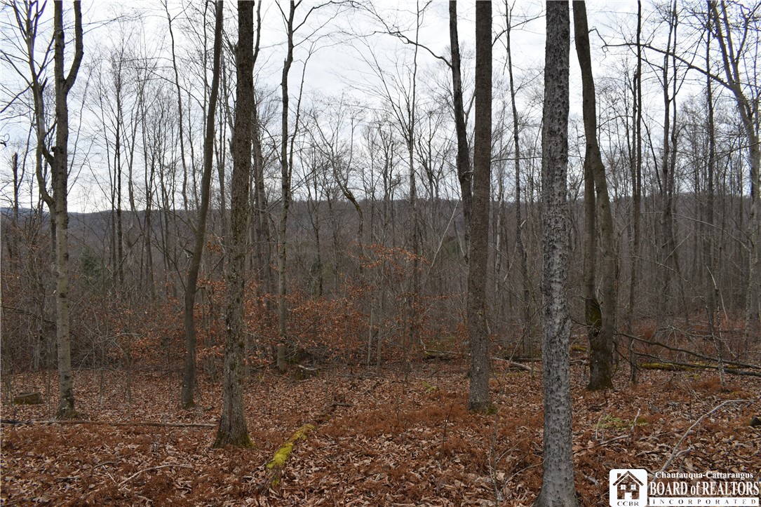 0 Morgan Hollow Road Olean, NY 14760 - Photo 19 of 43