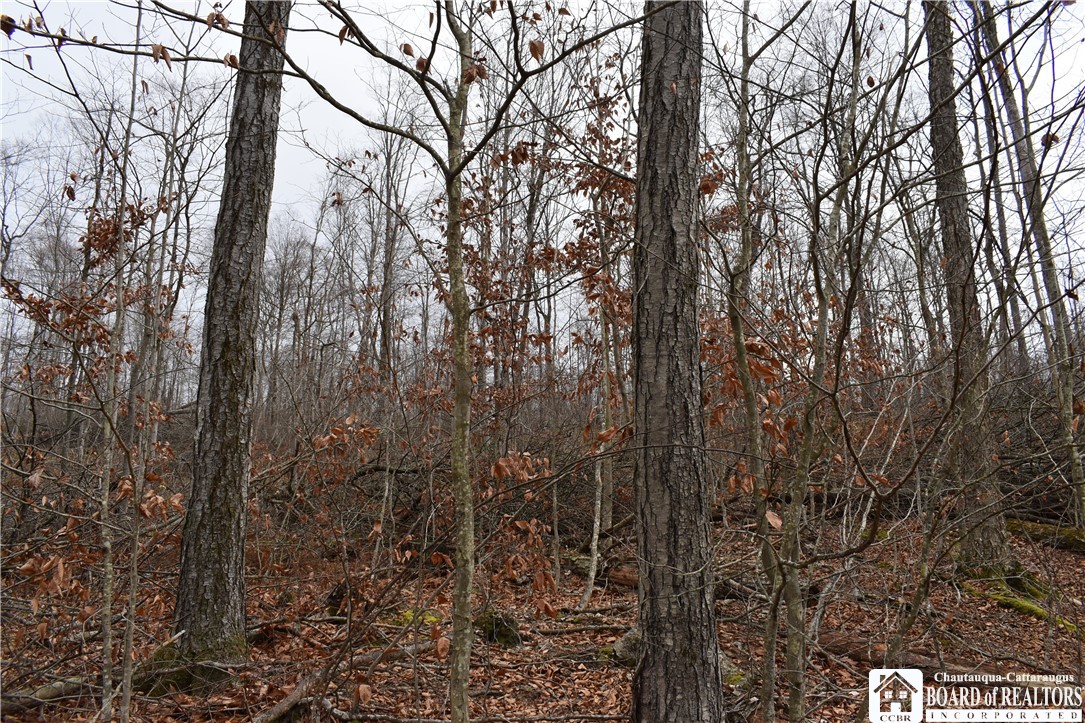0 Morgan Hollow Road Olean, NY 14760 - Photo 2 of 43