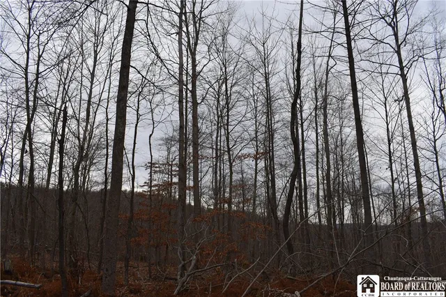 $152,500 | 0 Morgan Hollow Road, Olean, NY 14760