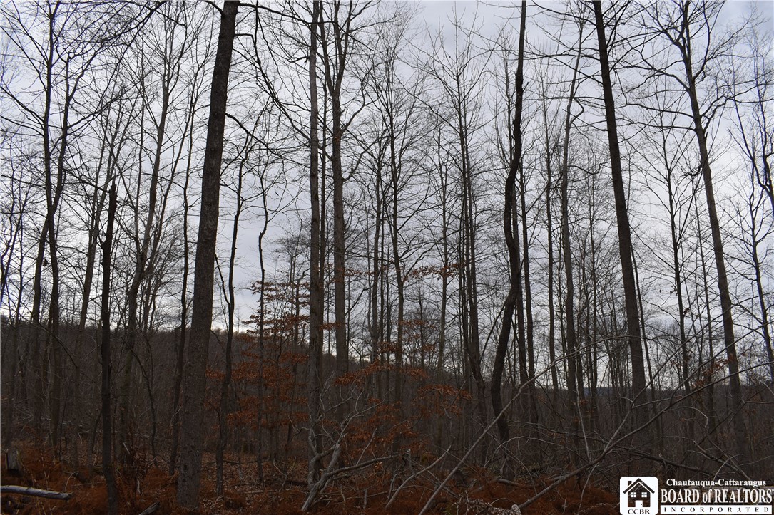 0 Morgan Hollow Road Olean, NY 14760 - Photo 22 of 43