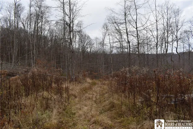$152,500 | 0 Morgan Hollow Road, Olean, NY 14760