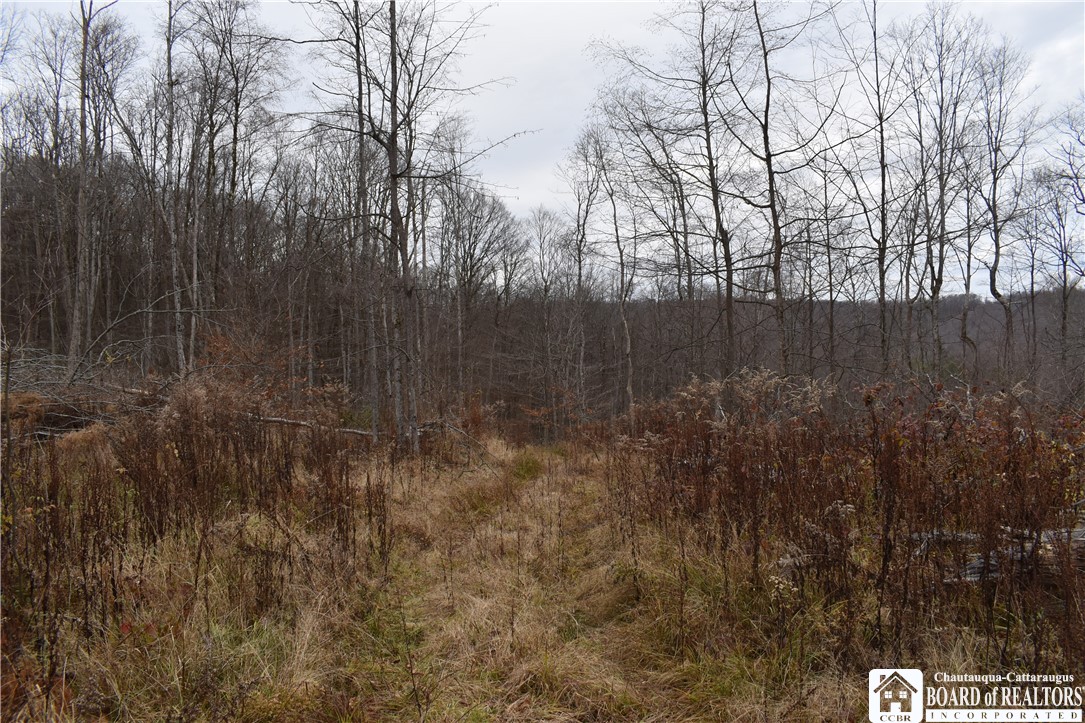 0 Morgan Hollow Road Olean, NY 14760 - Photo 23 of 43