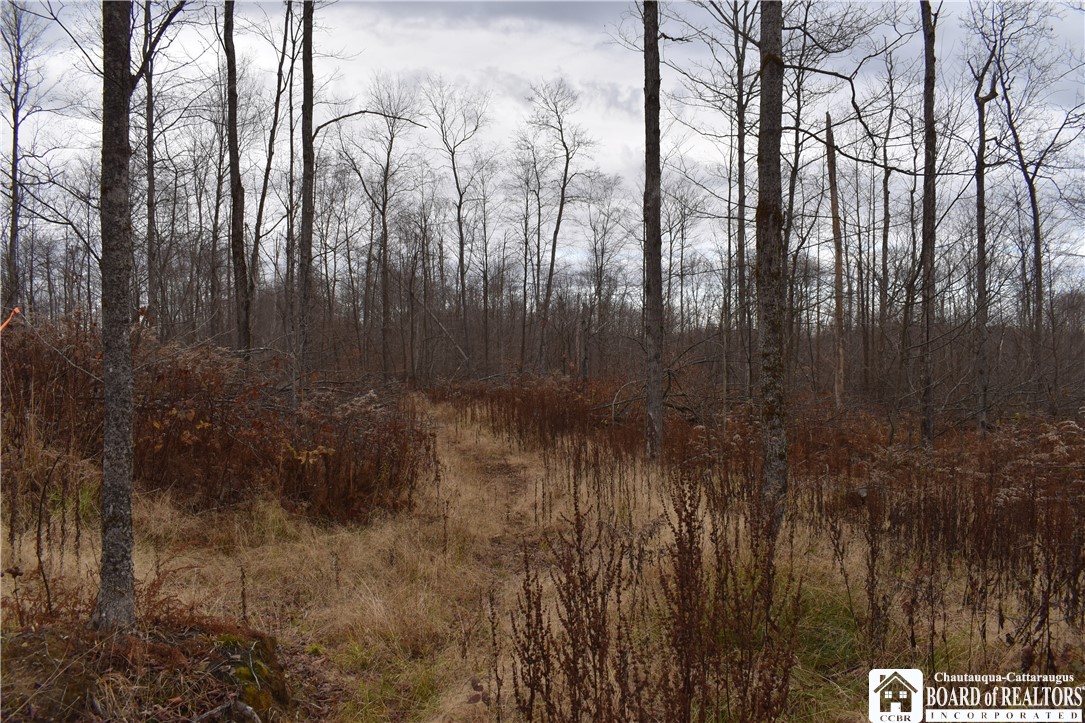 0 Morgan Hollow Road Olean, NY 14760 - Photo 24 of 43