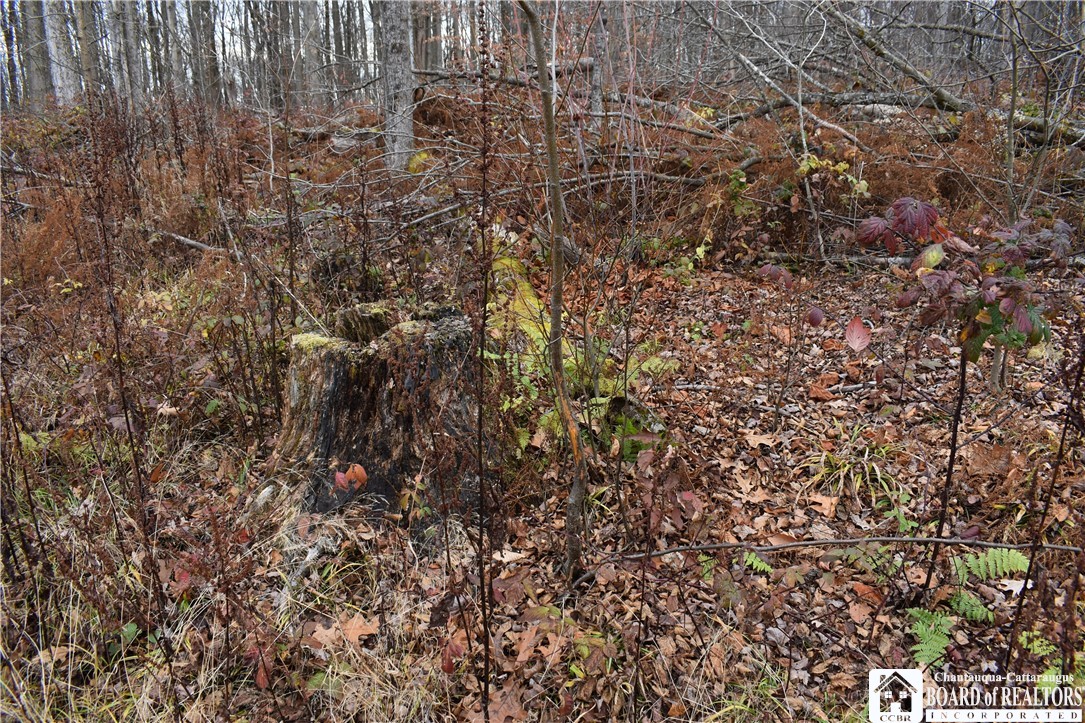 0 Morgan Hollow Road Olean, NY 14760 - Photo 25 of 43