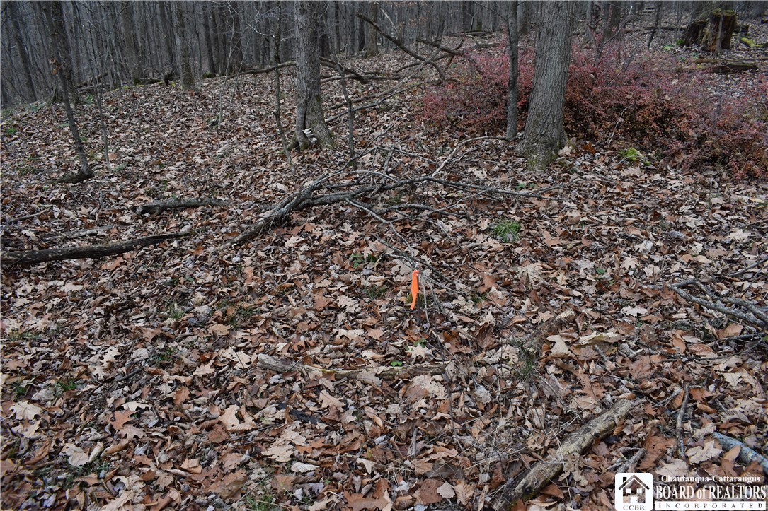 0 Morgan Hollow Road Olean, NY 14760 - Photo 26 of 43