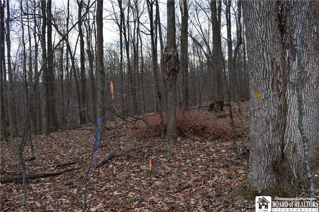 0 Morgan Hollow Road Olean, NY 14760 - Photo 27 of 43