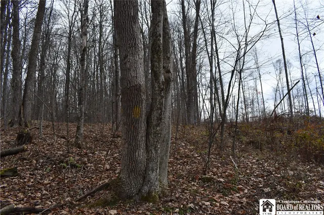 $152,500 | 0 Morgan Hollow Road, Olean, NY 14760