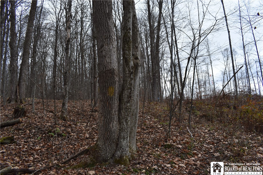 0 Morgan Hollow Road Olean, NY 14760 - Photo 28 of 43