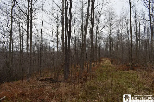 $152,500 | 0 Morgan Hollow Road, Olean, NY 14760