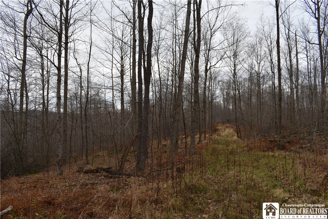 0 Morgan Hollow Road Olean, NY 14760 - Photo 29 of 43