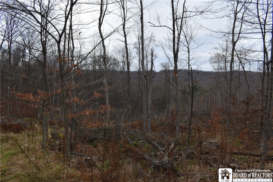 0 Morgan Hollow Road Olean, NY 14760 - Photo 30 of 43