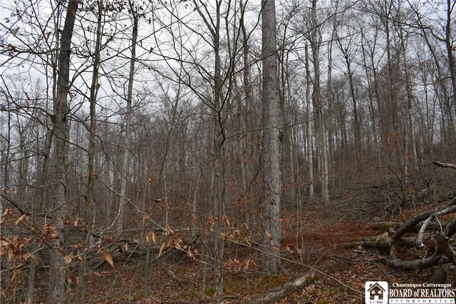 $152,500 | 0 Morgan Hollow Road, Olean, NY 14760