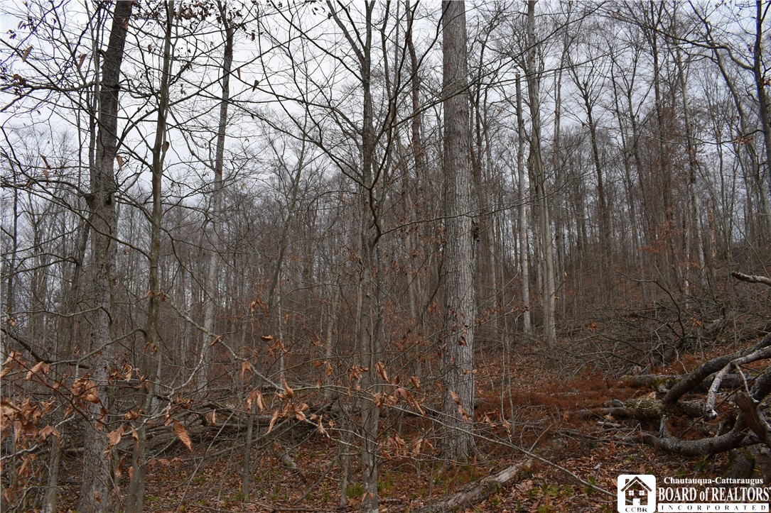 0 Morgan Hollow Road Olean, NY 14760 - Photo 3 of 43