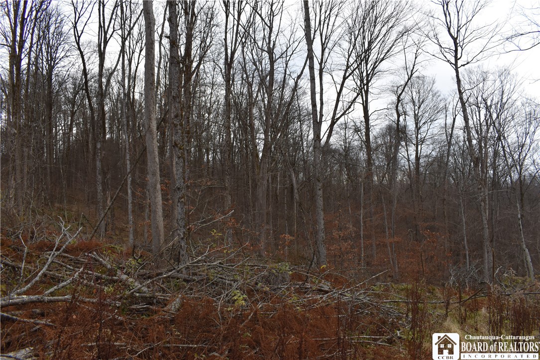 0 Morgan Hollow Road Olean, NY 14760 - Photo 31 of 43