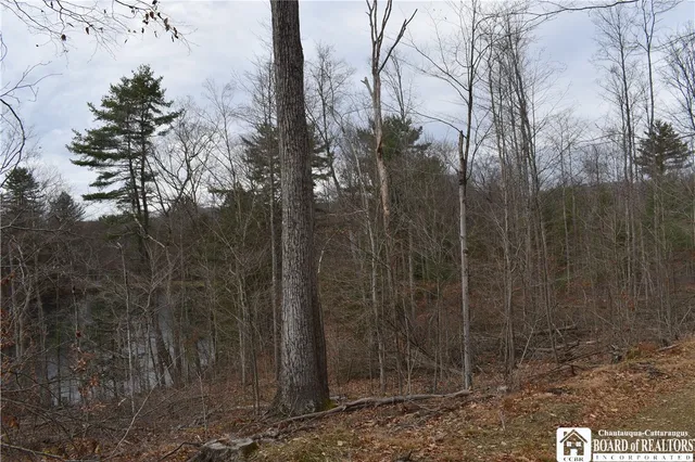 $152,500 | 0 Morgan Hollow Road, Olean, NY 14760