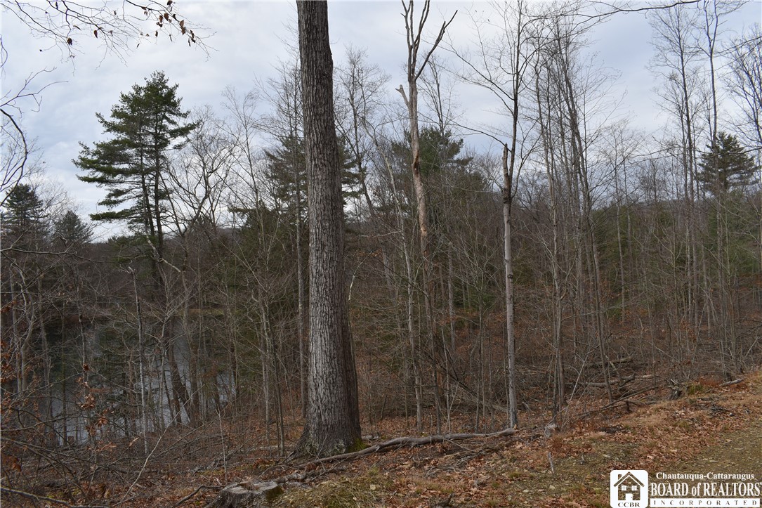 0 Morgan Hollow Road Olean, NY 14760 - Photo 33 of 43