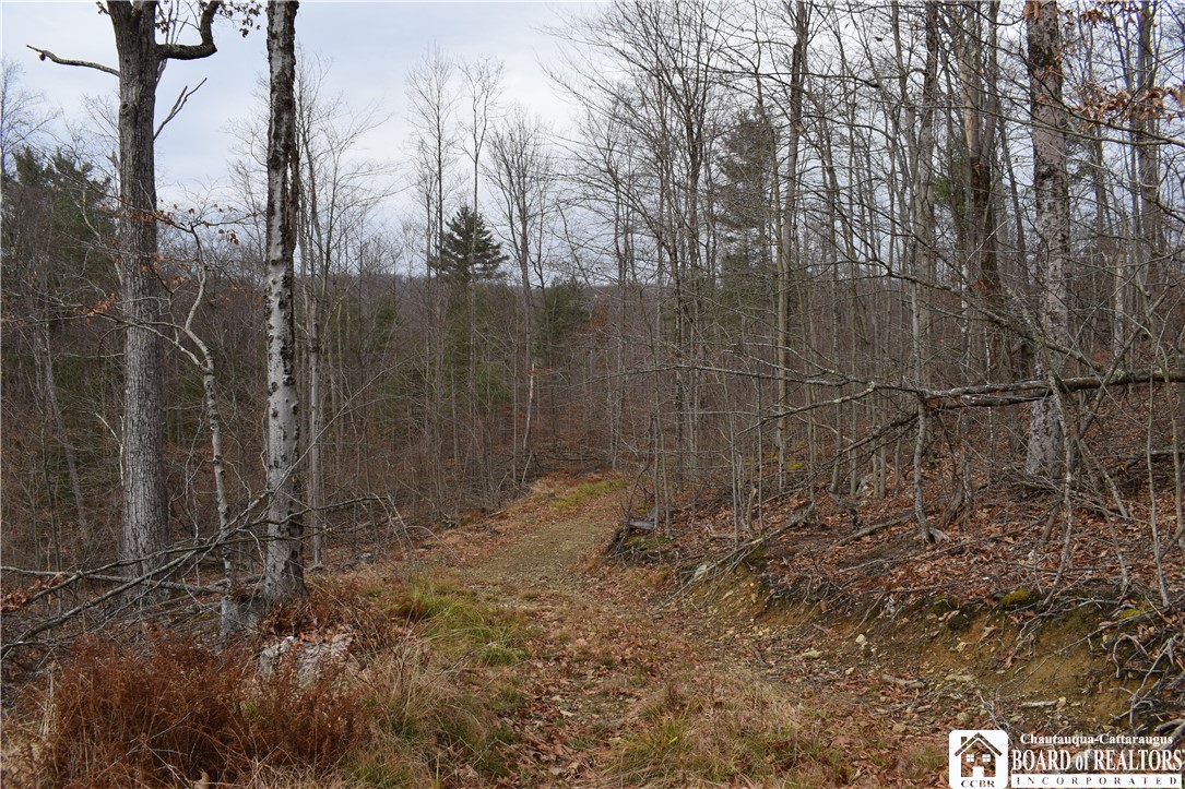 0 Morgan Hollow Road Olean, NY 14760 - Photo 34 of 43