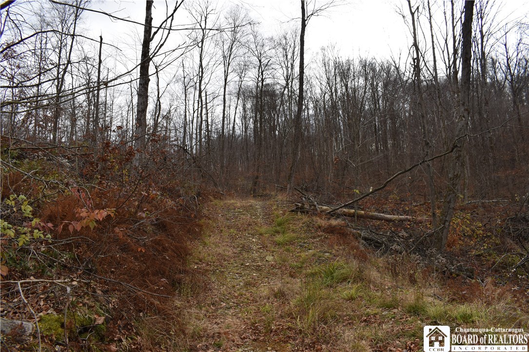 0 Morgan Hollow Road Olean, NY 14760 - Photo 35 of 43
