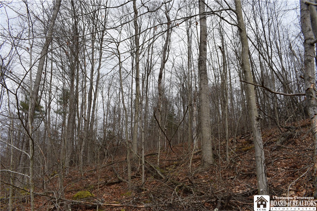 0 Morgan Hollow Road Olean, NY 14760 - Photo 36 of 43