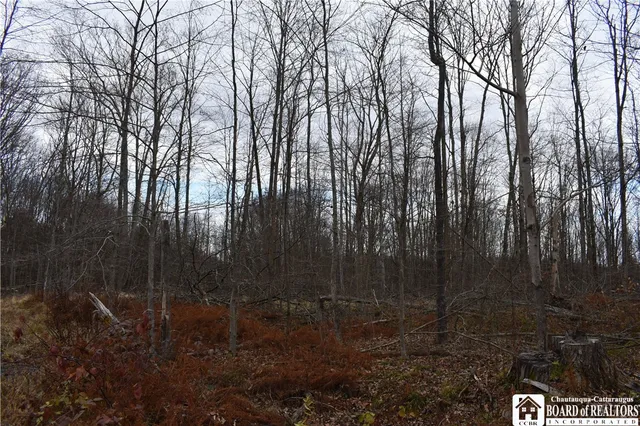 $152,500 | 0 Morgan Hollow Road, Olean, NY 14760
