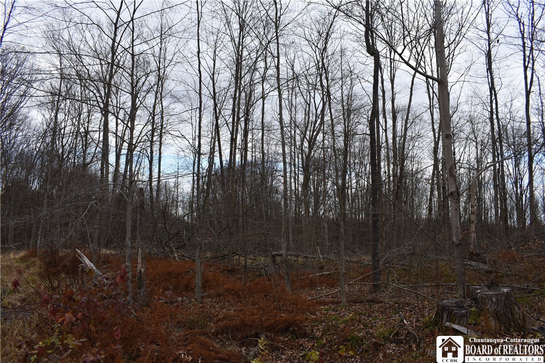 0 Morgan Hollow Road Olean, NY 14760 - Photo 37 of 43