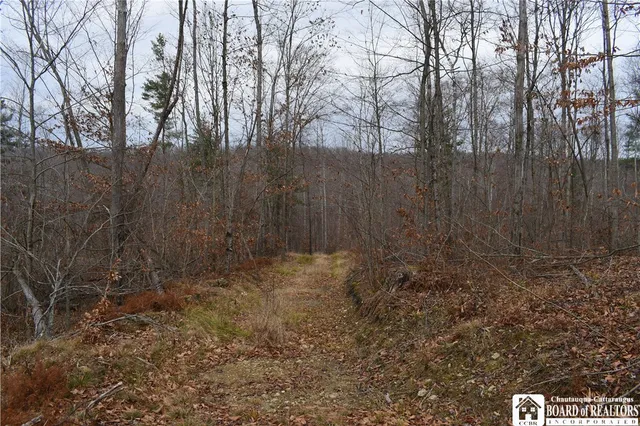 $152,500 | 0 Morgan Hollow Road, Olean, NY 14760