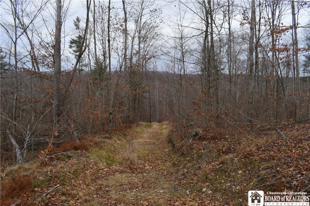 0 Morgan Hollow Road Olean, NY 14760 - Photo 38 of 43