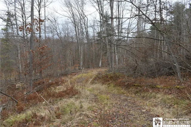 $152,500 | 0 Morgan Hollow Road, Olean, NY 14760