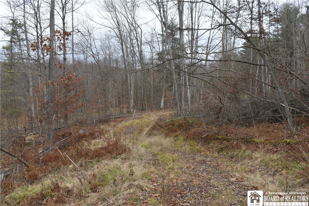 0 Morgan Hollow Road Olean, NY 14760 - Photo 39 of 43