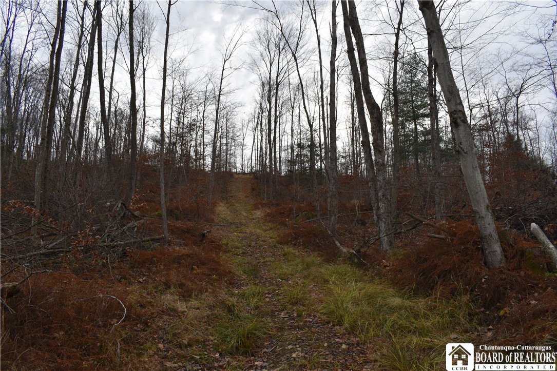 0 Morgan Hollow Road Olean, NY 14760 - Photo 40 of 43