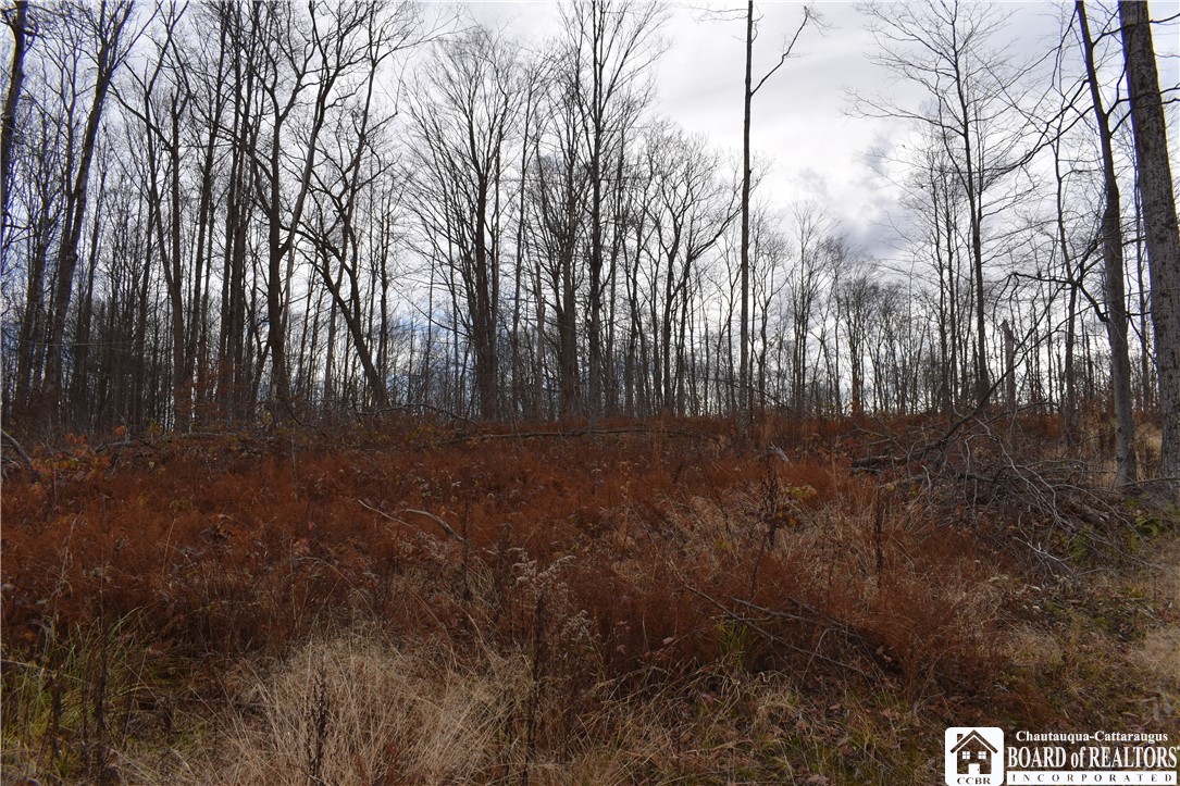 0 Morgan Hollow Road Olean, NY 14760 - Photo 41 of 43