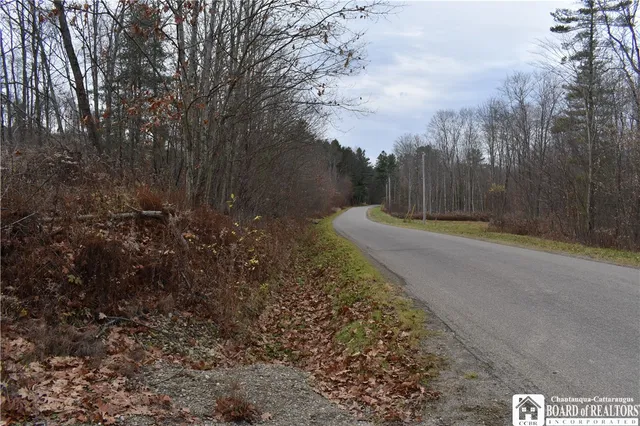 $152,500 | 0 Morgan Hollow Road, Olean, NY 14760