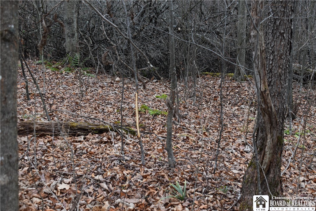 0 Morgan Hollow Road Olean, NY 14760 - Photo 5 of 43