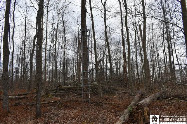 $152,500 | 0 Morgan Hollow Road, Olean, NY 14760