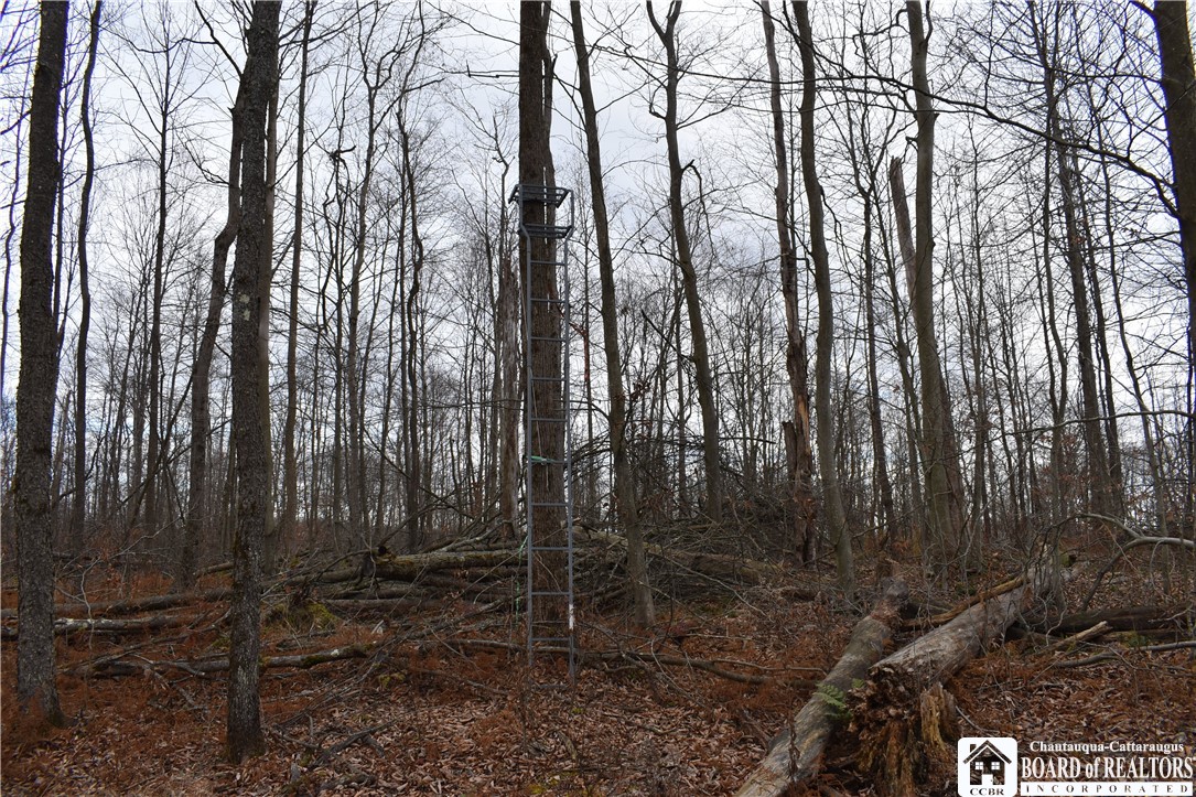 0 Morgan Hollow Road Olean, NY 14760 - Photo 6 of 43