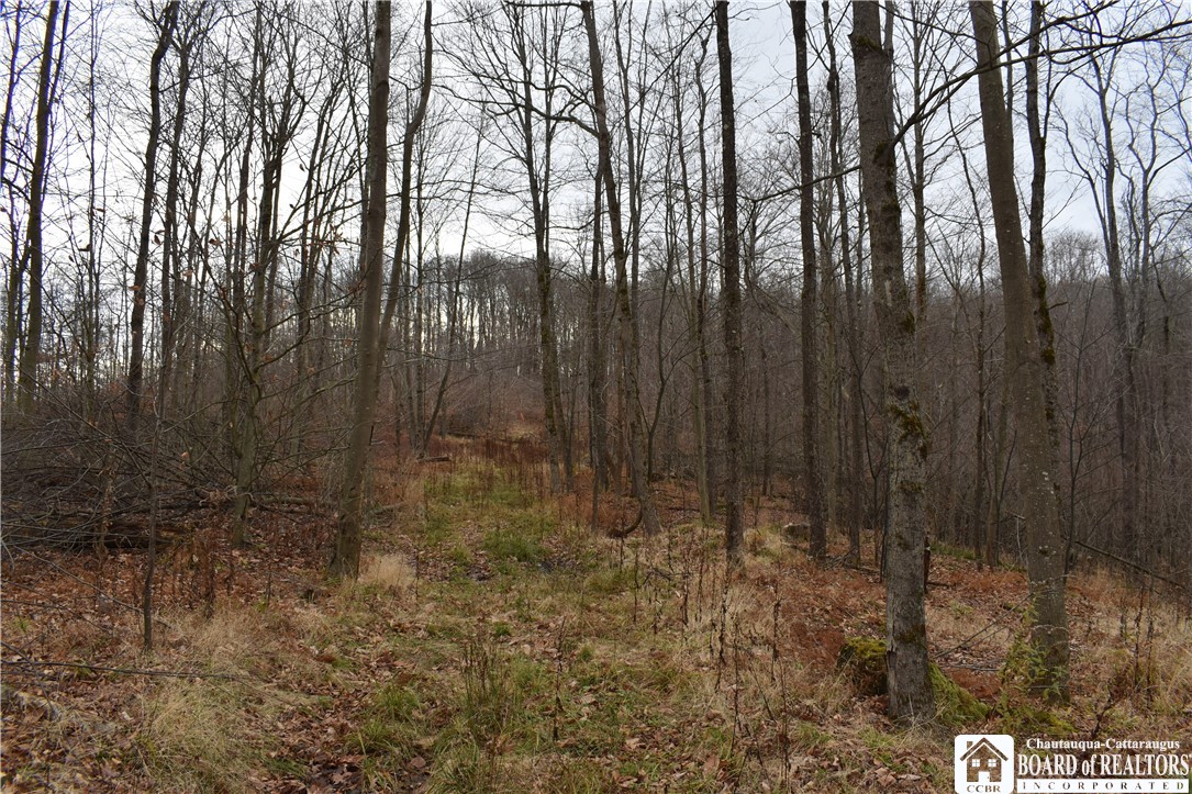 0 Morgan Hollow Road Olean, NY 14760 - Photo 7 of 43