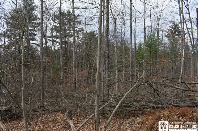 $152,500 | 0 Morgan Hollow Road, Olean, NY 14760
